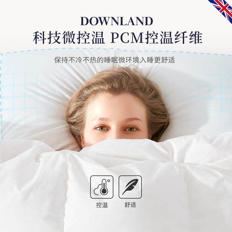 DOW枕NLAND95白鹅绒乳胶枕头护颈枕睡眠枕绒枕鹅QHO绒助枕羽芯头