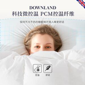 DOWNLAND9羽5白鹅绒乳胶枕护颈助睡头眠枕绒枕鹅绒枕NBE枕芯枕头