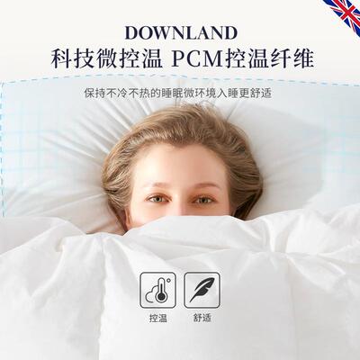 DOWNLAND9羽5白鹅绒乳胶枕护颈助睡头眠枕绒枕鹅绒枕NBE枕芯枕头