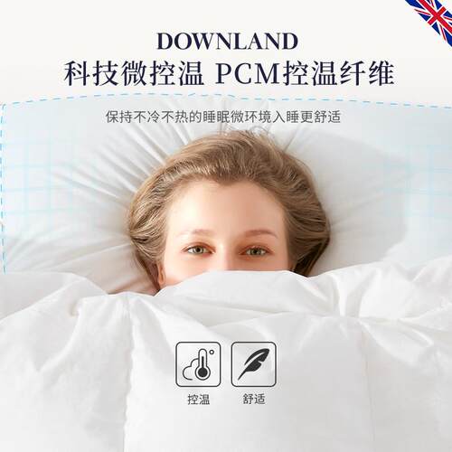 DOWNLAND9羽5白鹅绒乳胶枕护颈助睡头眠枕绒枕鹅绒枕NBE枕芯枕头