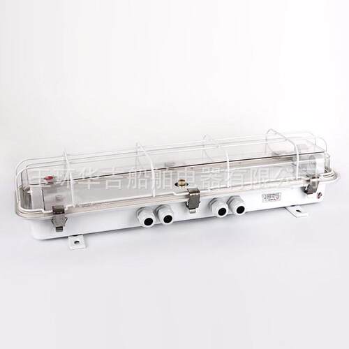 船用荧光舱顶灯JCY24-2EF 船用灯具2*20W 船用船顶灯20W