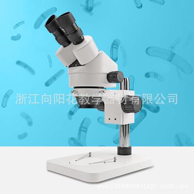 小连变连续变倍显微镜SZM45-B1白色无光源双目工业显微镜