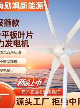 家用小型风力发电机大功率1000W风光互补系统小形路灯船用220v24v