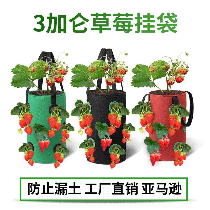 现货亚马逊热卖多口草莓袋吊挂式草莓种植袋12孔无纺布植物吊篮