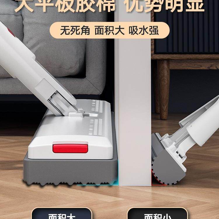 平板拖把家用一拖净免手洗2022新款木地板墩布懒人地拖布拖地