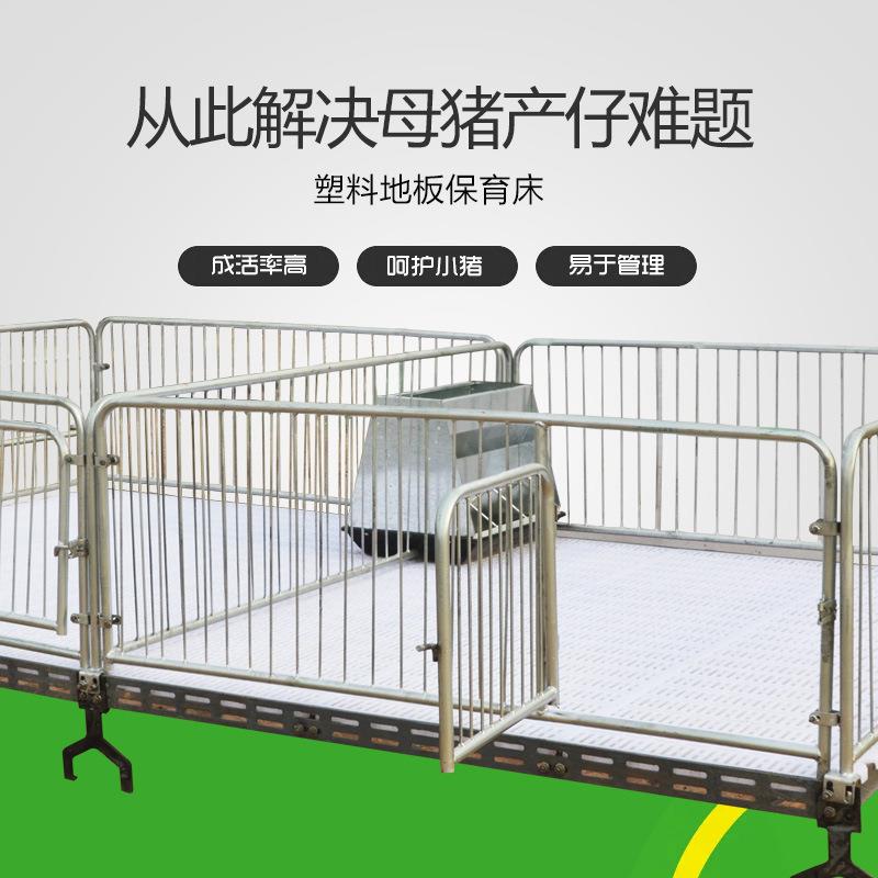 仔猪保育床小猪保育床塑料漏粪板保育床小猪双体保育床猪仔保育床