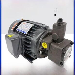 0.75 1.5Kw液压泵组件水平马达液压站系统 液压泵马达组Vp20