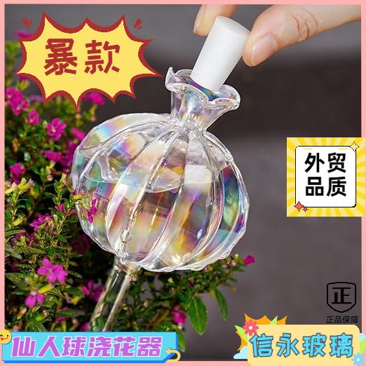 仙人球浇花器玻璃 自动懒人浇灌滴水滴灌浇水 玻璃浇花器