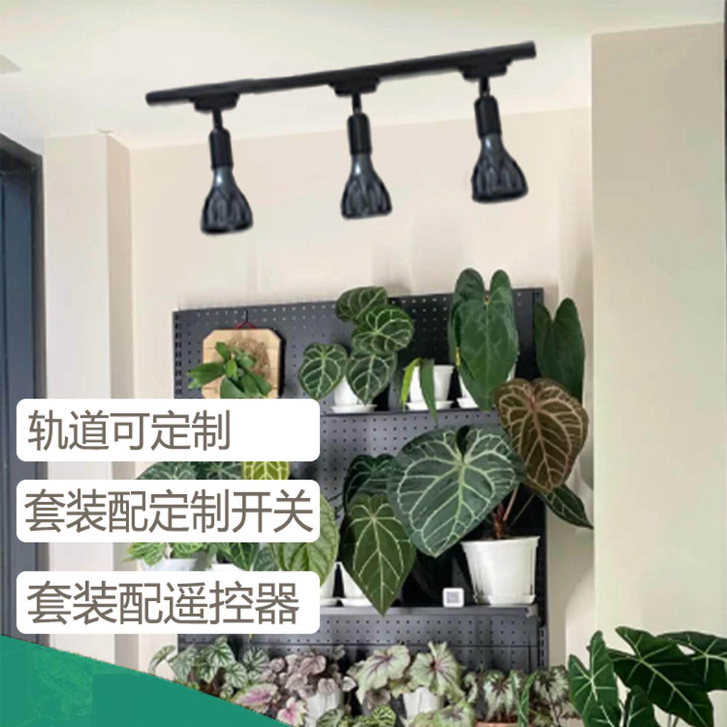led全光谱植物补光灯块根龙舌兰鹿角蕨多肉热植生长灯鱼缸爆藻灯