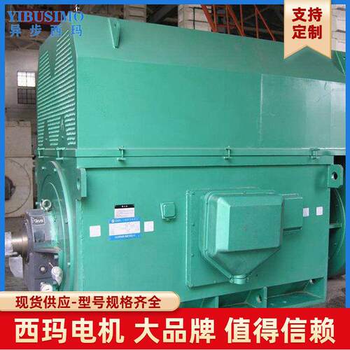 立式YL西玛牌Y450L1-10185W6V高压鼠笼型感应式电动机