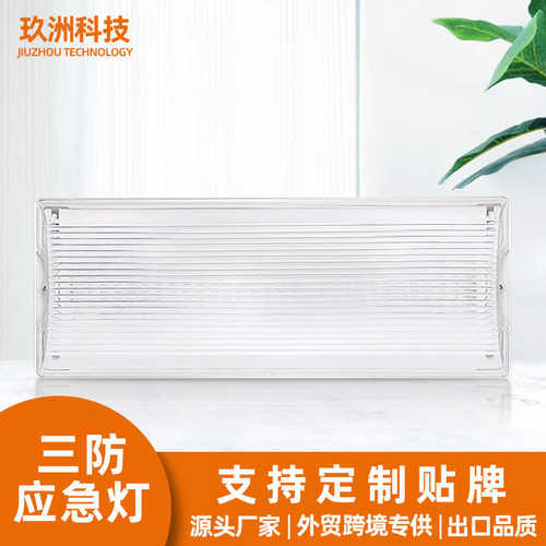 应急灯消防应急灯指示灯led应急灯led照明灯exit外贸三防充电灯