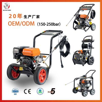 工厂定制180bar250bar汽油压清洗机家用商用洗车机铜泵3000psi