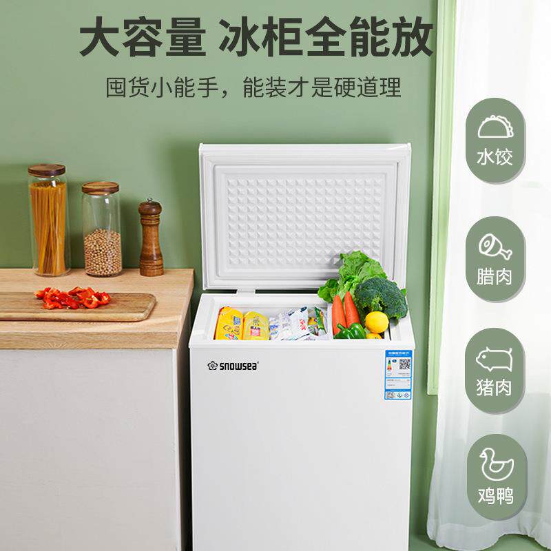 串串冻货摆摊柜冰柜小型家用商用大容量减霜全冷冻冷藏柜节能省电