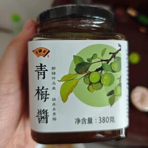 古瀛堂青梅酱酸甜带咸好风味潮州特产清香梅子果酱烘培涂抹蘸料