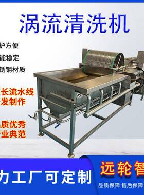 商用全自动涡流清洗机304不锈钢旋流气泡洗菜机净菜加工设备