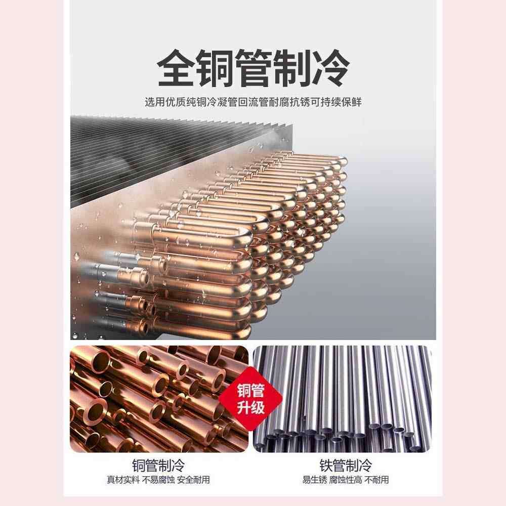 2020四开门商用冰箱房立式厨冷藏冷冻保鲜柜锈节不能双温六钢门冰