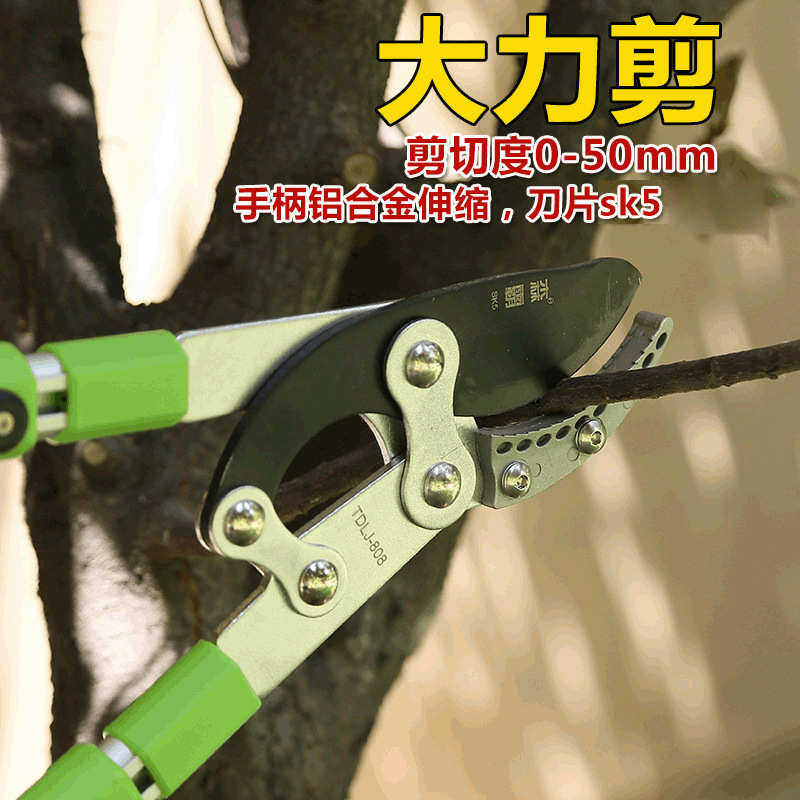 剪 修枝手工果园剪省力粗枝修剪盆景伸缩剪刀绿化大园林高枝果树图片