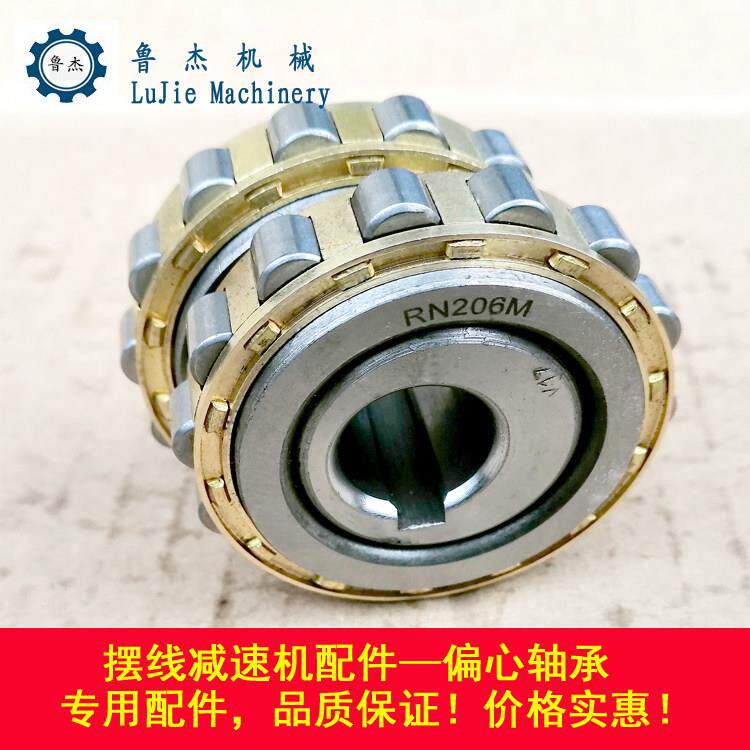 偏心轴承RN307M加大内孔22mm 适用于摆线针轮减速机配件 天马品牌