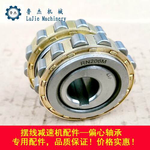 偏心轴承RN307M加大内孔22mm 适用于摆线针轮减速机配件 天马品牌