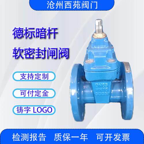 DN65德标GGG50带铜母软密封暗杆闸阀水利适用人气支持