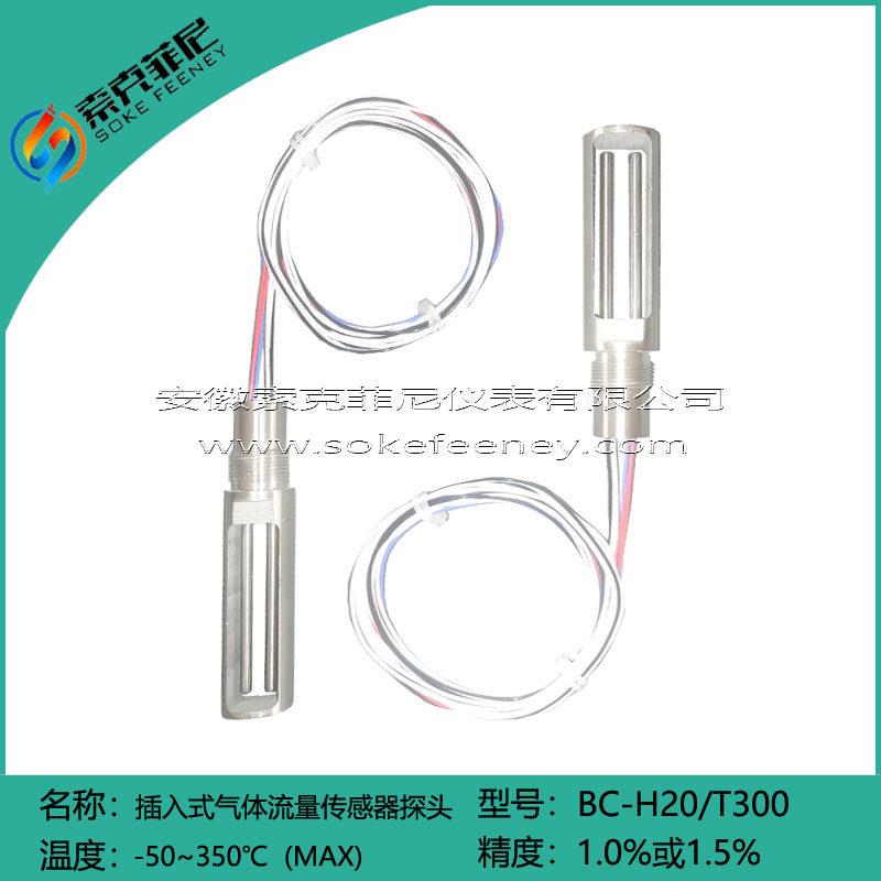 PT300插入式气体检测监视器质量流量计PT20热式气体流量计感测器