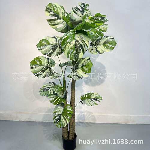 仿真植物盆景龟背叶仿真龟背盆栽绿植摆件仿真龟背竹仿真龟背盆栽
