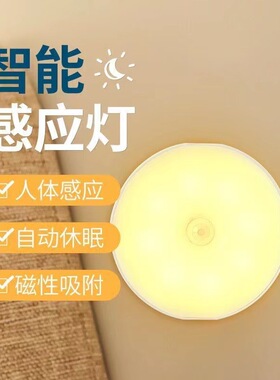 LE智能人体感应灯小夜灯感应衣橱灯玄关楼梯灯UB充电夜灯