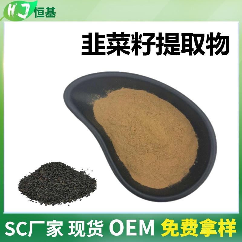 韭菜籽提取物 10:1 水溶 1㎏装 恒基 韭菜子粉 韭菜籽提取
