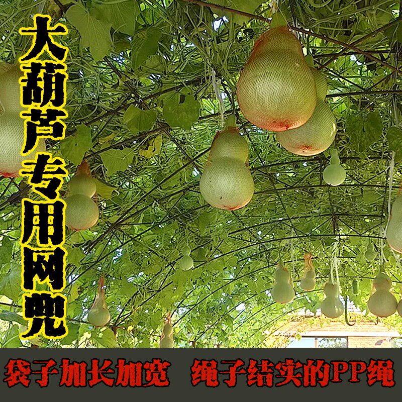葫芦防坠网兜大葫芦专用编织托网红薯板栗分装袋绳红黄色纱网袋