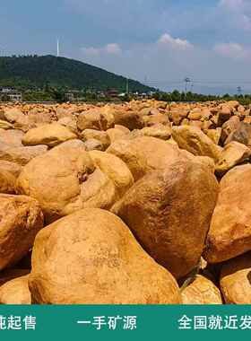 蜡直销园饰林石收藏OJC石水景驳岸黄装石彩石庭院石