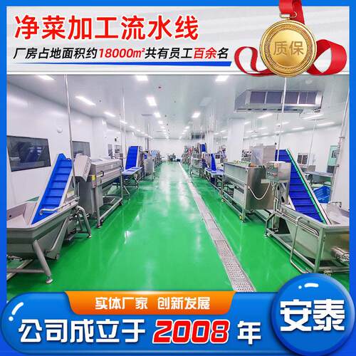 大型椰菜花气泡清洗机流水线全自动果蔬涡流清洗净菜加工设备