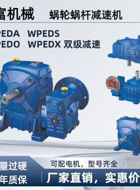 铁壳WPEDA WPEDS WPEDX WPEDO WPWDE蜗轮蜗杆减速机双级变速器