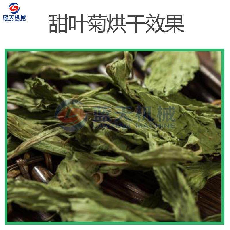 甜菊烘干房 糖菊甜草瑞宝泽兰甜茶花茶烘烤设备 甜叶菊烘干机商用