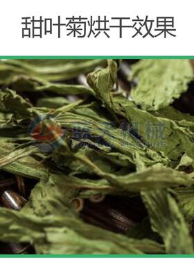 甜菊菊烘干房糖菊甜泽草瑞宝兰甜茶FVB花茶烘烤设备甜叶机烘干商