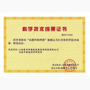 1头母猪轻松赚1万 抗圆环病原种 生产祖代