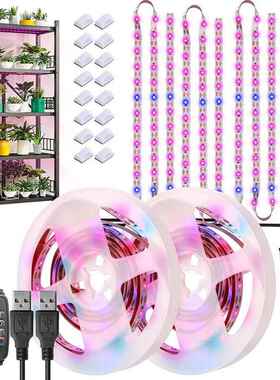 粉色蓝色120 LED植物灯室内植物蔬园艺盆景补光灯