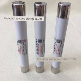 0.5A 195 1A2A3A3.15A PT熔丝高压熔断器熔管25 50KA XRNP1