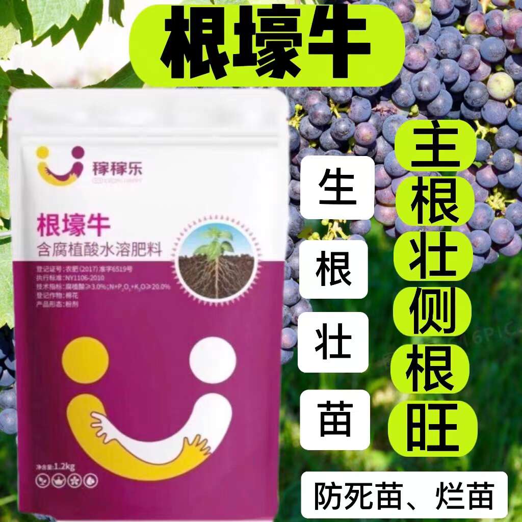 根壕牛强力生根剂黄瓜辣椒西红柿草莓通用壮苗爆根速效生根粉