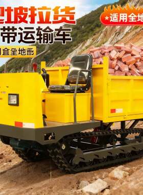 全地形履带车运输车果园农用爬坡小型农用爬山虎山地单履带运输车