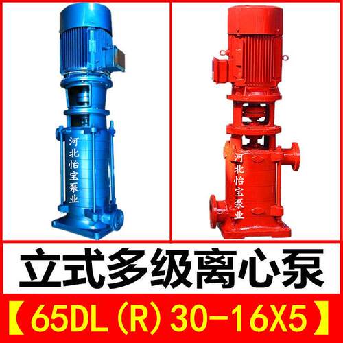 65DL30-16X5立式多级泵DLR型热水增压管道离心泵 高层建筑给水泵