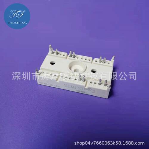 SK30GD128 SK25GD063 SK30GD123 SK40GB123 SK60GB123 模块咨询