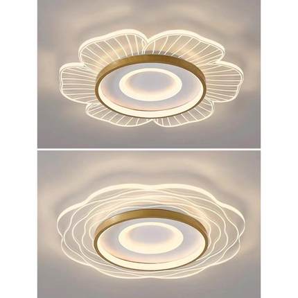 卧现代QH-1656简约亚克力创意l花朵客厅吸顶灯ed餐成套全主屋套灯