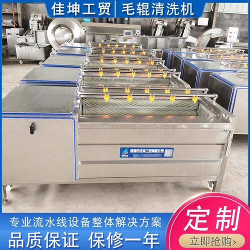 商用西红柿清洗机 黄桃清洗机 不锈钢毛辊清洗机厂家供应