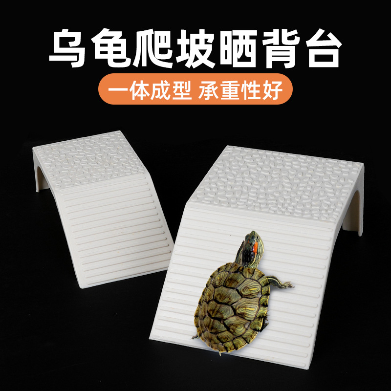 乌龟爬行斜坡其它水族用具设备