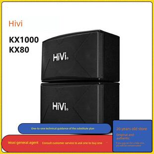 Kx80专业8英寸10英寸Ktv舞台家庭卡拉ok音响套装 Kx1000 Hivi