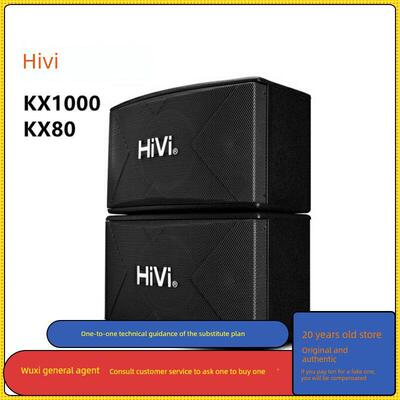 Hivi Kx1000/Kx80专业8英寸10英寸Ktv舞台家庭卡拉ok音响套装