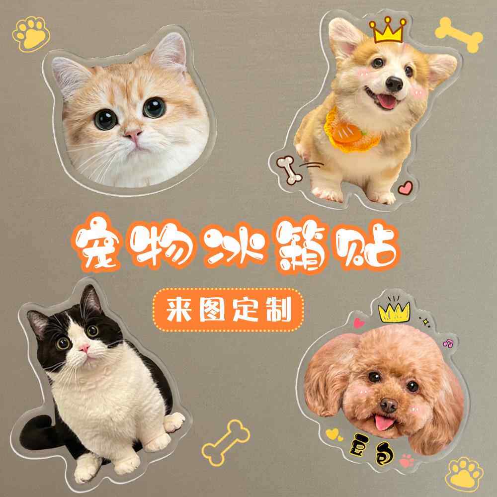 宠物冰箱贴来图定制亚克力猫咪狗狗立体磁吸贴可爱风装饰磁贴订做
