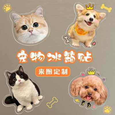 宠物冰箱贴来图定制亚克力猫咪狗狗立体磁吸贴可爱风装饰磁贴订做