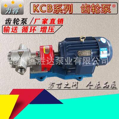 零售KCB83.3/55/33.3泊头齿轮泵厂家不锈钢齿轮泵齿轮油泵