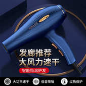 大功率吹风机家用负离子护发音静速干大功率电吹风理发店专用风筒
